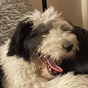 Meet your Posher, Tony